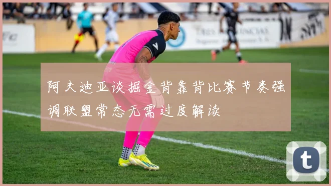 阿夫迪亚谈掘金背靠背比赛节奏强调联盟常态无需过度解读