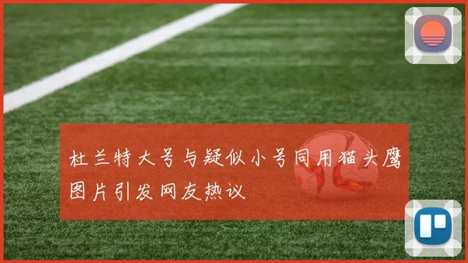 杜兰特大号与疑似小号同用猫头鹰图片引发网友热议