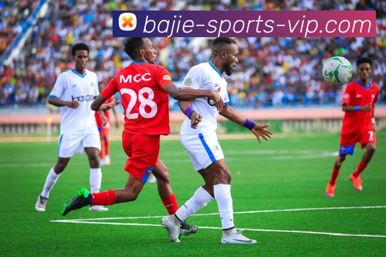 霍福德称约基奇与库里难以单防他们的实力让人叹服